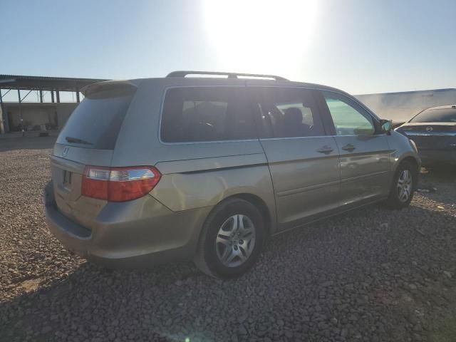 2005 Honda Odyssey EXL