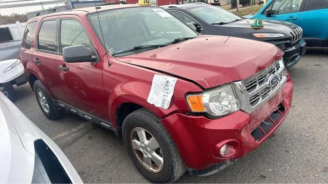 2010 Ford Escape XLT