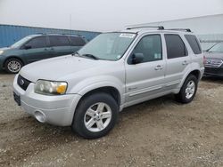 Salvage cars for sale from Copart Anderson, CA: 2005 Ford Escape HEV