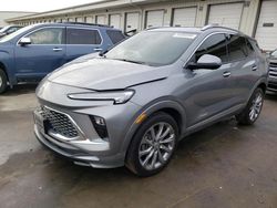 Salvage cars for sale at Louisville, KY auction: 2024 Buick Encore GX Avenir