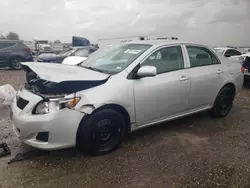 Salvage cars for sale at Houston, TX auction: 2010 Toyota Corolla Base