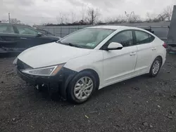 2019 Hyundai Elantra SE en venta en Marlboro, NY