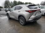 2023 Lexus NX 350H