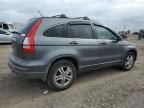 2010 Honda CR-V EXL