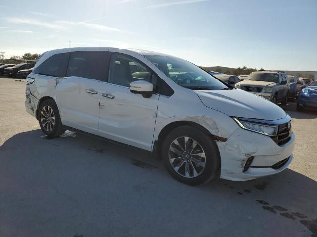 2024 Honda Odyssey EXL