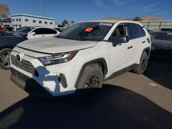 Vehiculos salvage en venta de Copart Albuquerque, NM: 2023 Toyota Rav4 LE