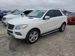 Salvage cars for sale at Taylor, TX auction: 2012 Mercedes-Benz ML 350 4matic