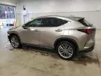 2022 Lexus NX 350H