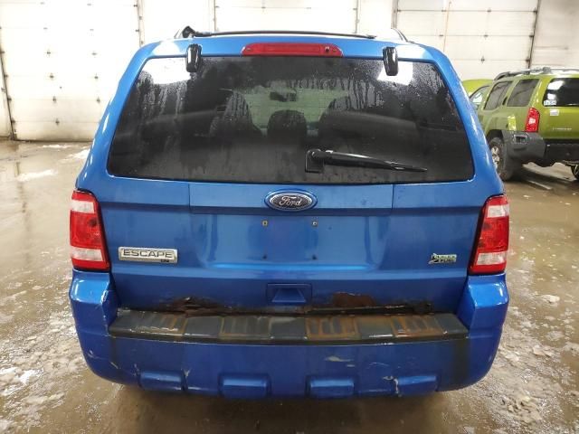 2011 Ford Escape XLT