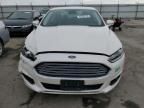 2014 Ford Fusion Titanium Phev