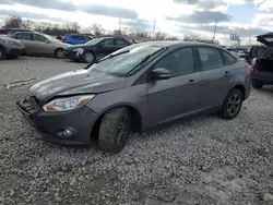 Salvage cars for sale at Columbus, OH auction: 2014 Ford Focus SE