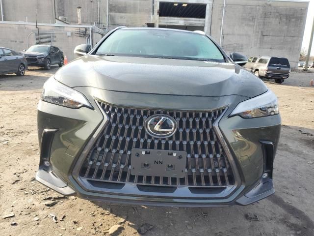 2023 Lexus NX 350H