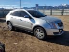 2011 Cadillac SRX Luxury Collection