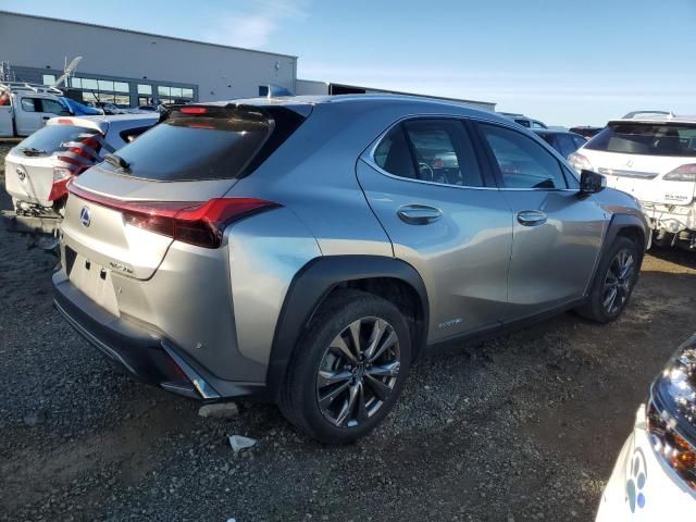 2021 Lexus UX 250H