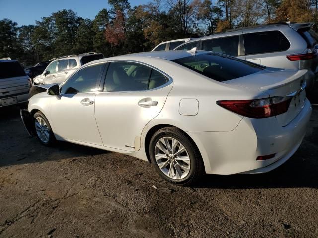 2013 Lexus ES 300H