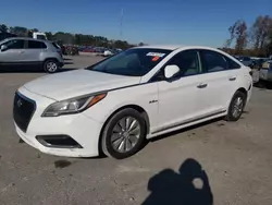 Vehiculos salvage en venta de Copart Dunn, NC: 2016 Hyundai Sonata Hybrid