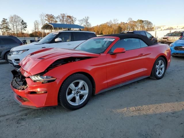 2019 Ford Mustang