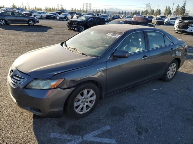 2008 Toyota Camry Hybrid