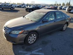 Salvage cars for sale at Rancho Cucamonga, CA auction: 2008 Toyota Camry Hybrid