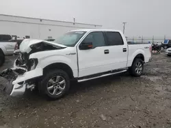 Salvage cars for sale at Farr West, UT auction: 2013 Ford F150 Supercrew