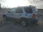 2005 Ford Escape XLT