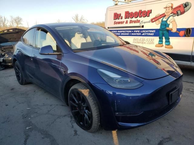 2024 Tesla Model Y