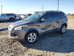 Ford Escape Vehiculos salvage en venta: 2013 Ford Escape SE