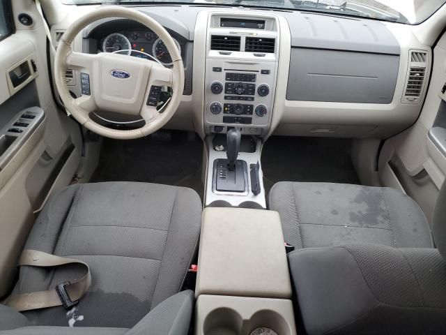 2009 Ford Escape XLT