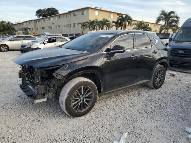 2024 Lexus NX 250 Base