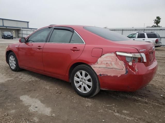 2009 Toyota Camry Hybrid