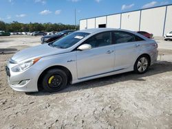 Hyundai Vehiculos salvage en venta: 2013 Hyundai Sonata Hybrid