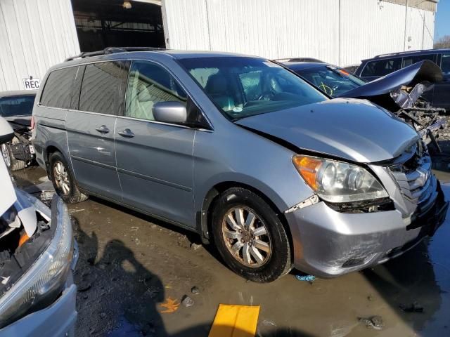 2008 Honda Odyssey EXL