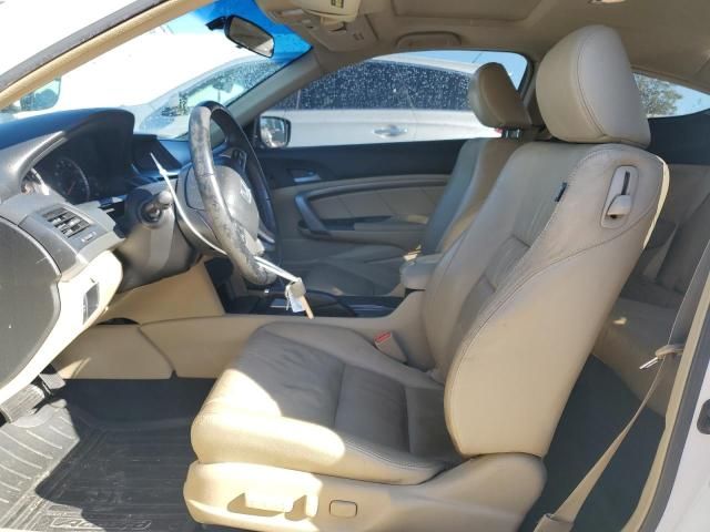 2009 Honda Accord EXL