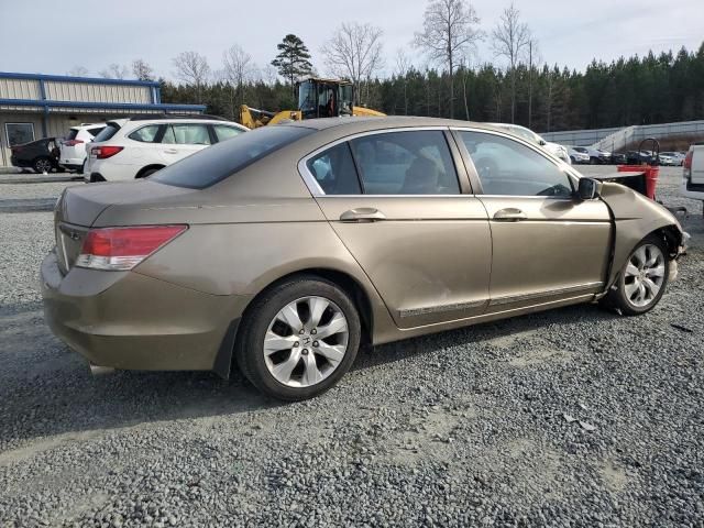 2010 Honda Accord EXL