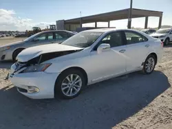 2012 Lexus ES 350 en venta en West Palm Beach, FL