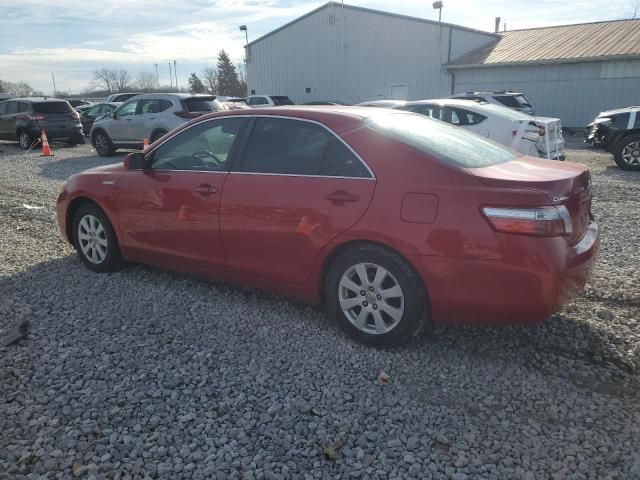 2008 Toyota Camry Hybrid