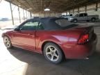 2001 Ford Mustang GT