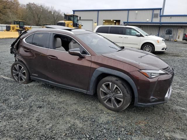 2020 Lexus UX 250H