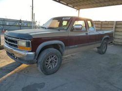 Salvage cars for sale at Anthony, TX auction: 1993 Dodge Dakota