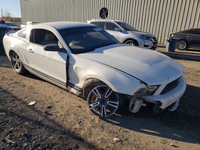 2010 Ford Mustang