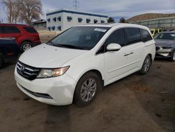 Salvage cars for sale at Albuquerque, NM auction: 2014 Honda Odyssey EXL