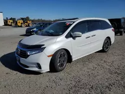 Salvage cars for sale at Lumberton, NC auction: 2022 Honda Odyssey Elite