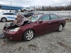 Salvage cars for sale at Memphis, TN auction: 2008 Lexus ES 350