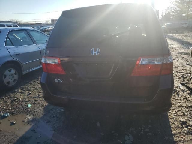 2007 Honda Odyssey EXL