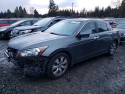 Honda salvage cars for sale: 2009 Honda Accord EXL