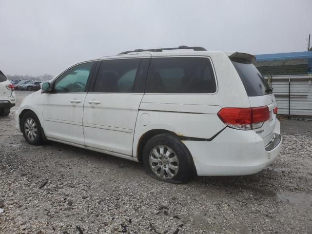 2010 Honda Odyssey EXL