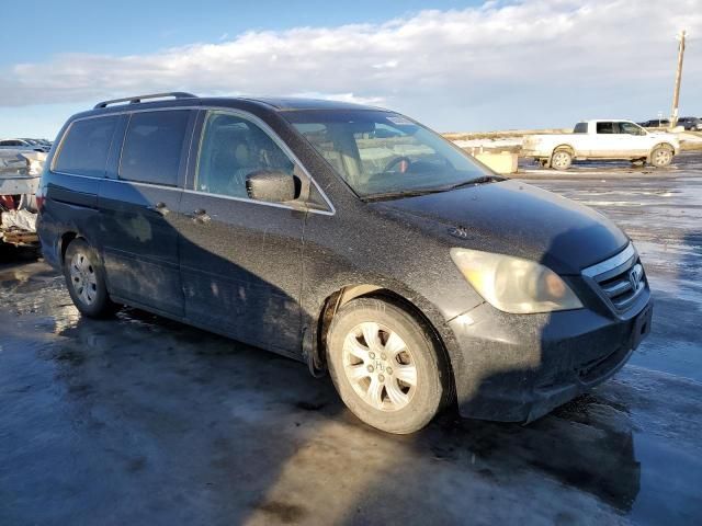 2005 Honda Odyssey EXL