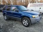 2007 Ford Escape XLT