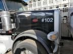 2019 Peterbilt 389