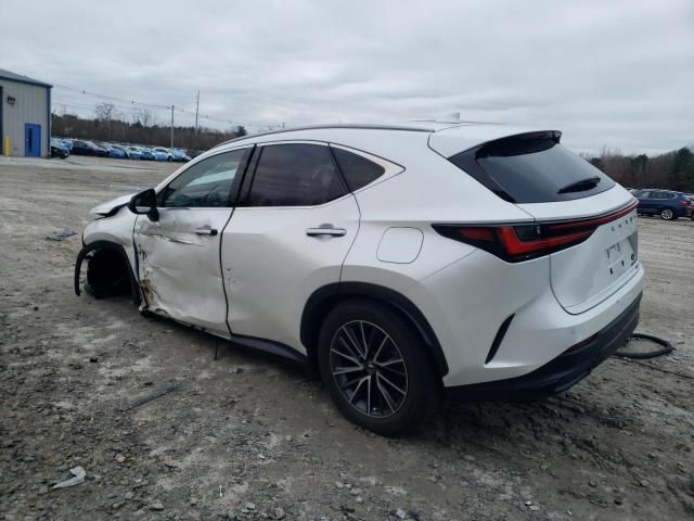 2022 Lexus NX 350